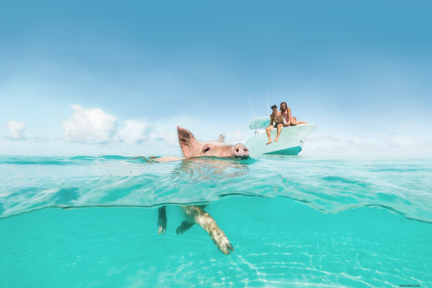 Sua ilha está chamando:The Bahamian Paradise Next Door 